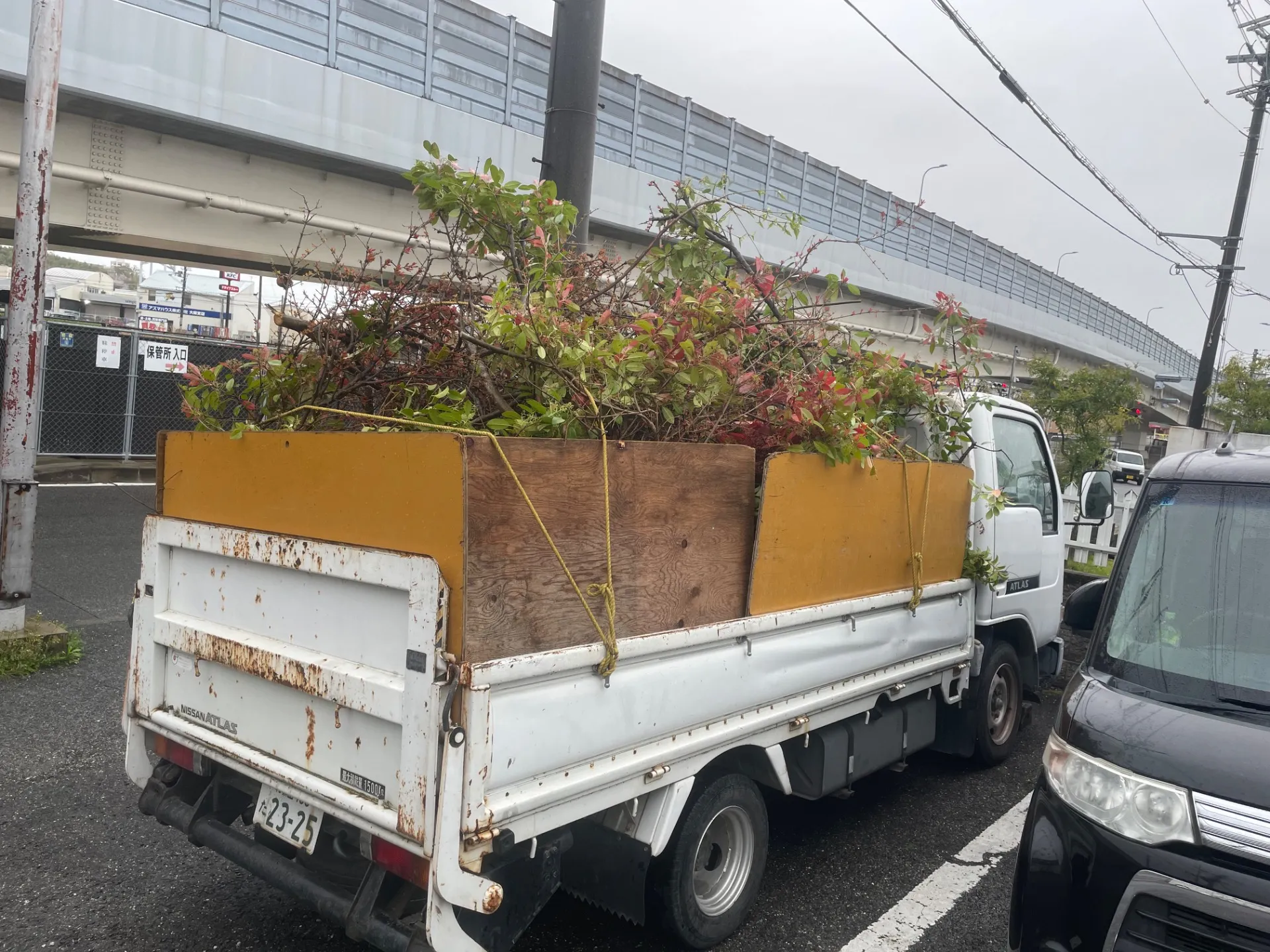 大阪の狭山市で木の伐採