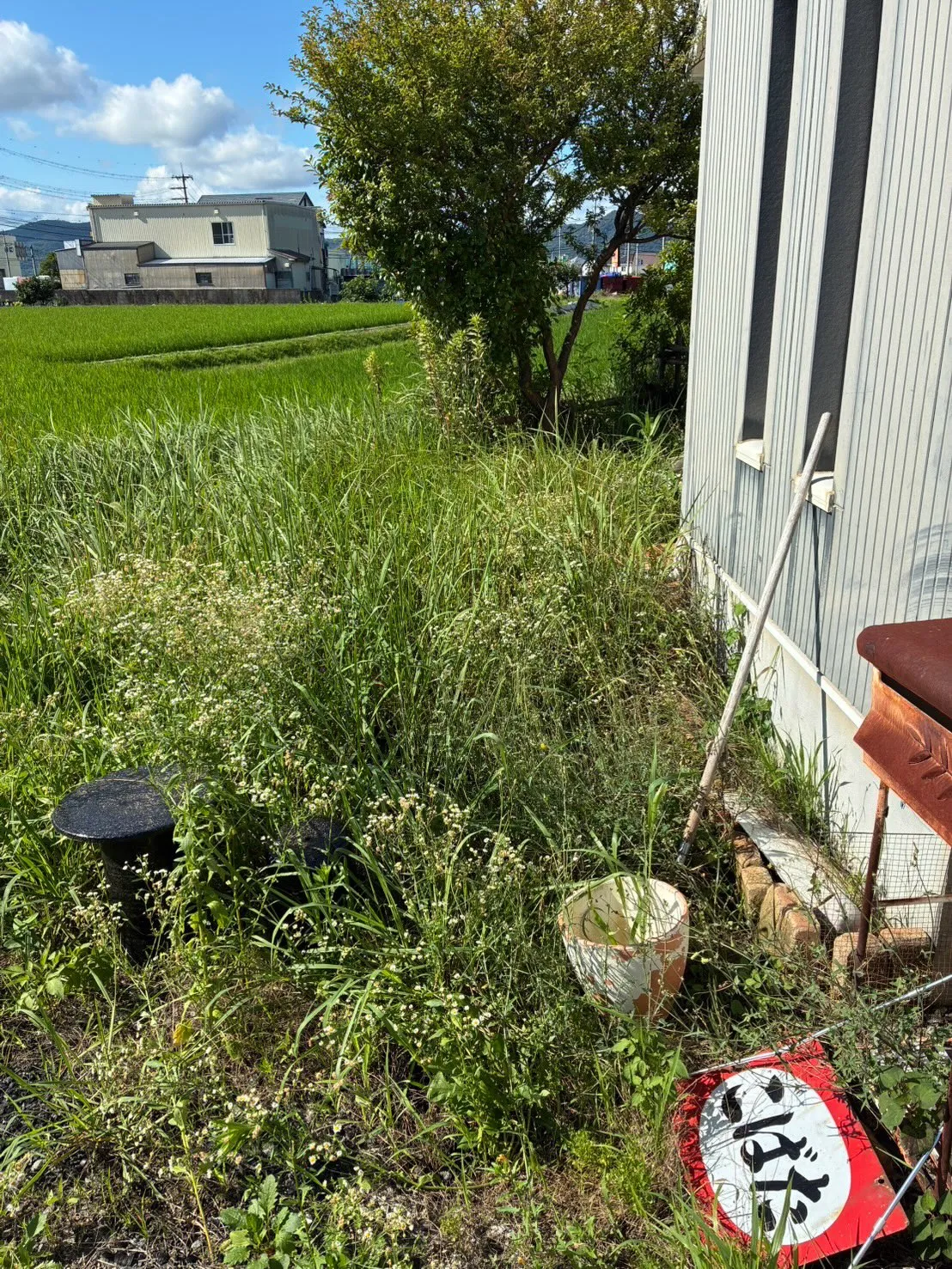先日は市内のお宅にて、草刈り・草木の処分作業を行いました🌿