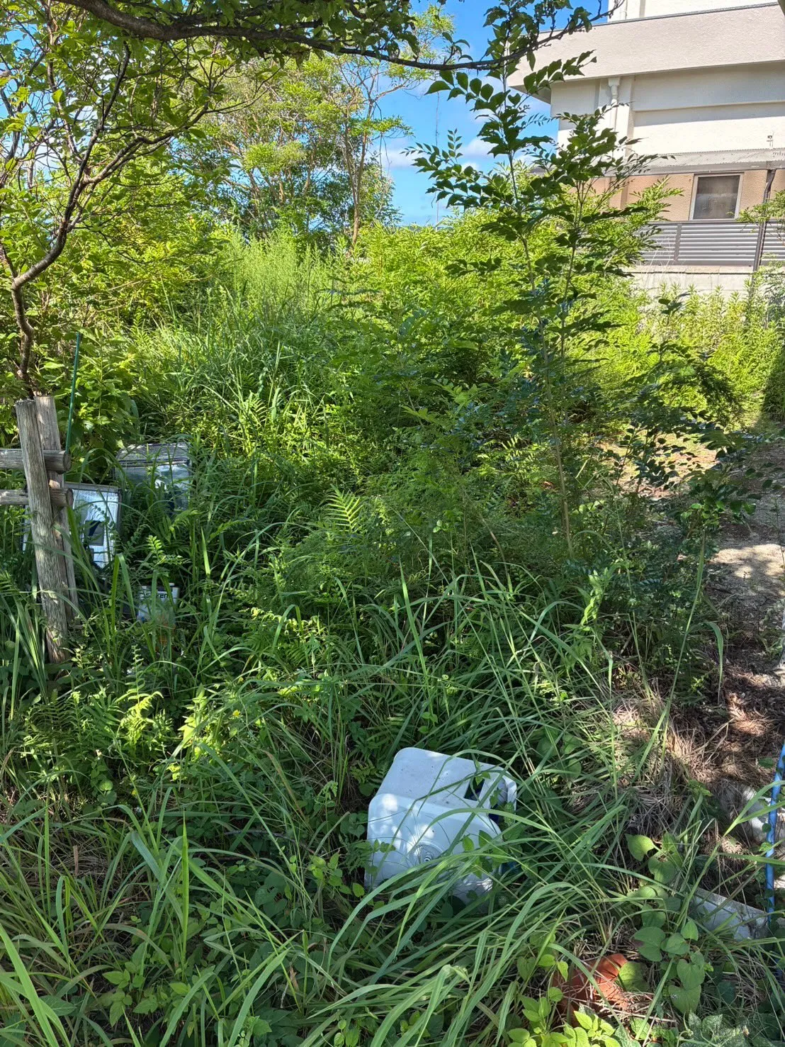 先日は市内のお宅にて、草刈り・草木の処分作業を行いました🌿