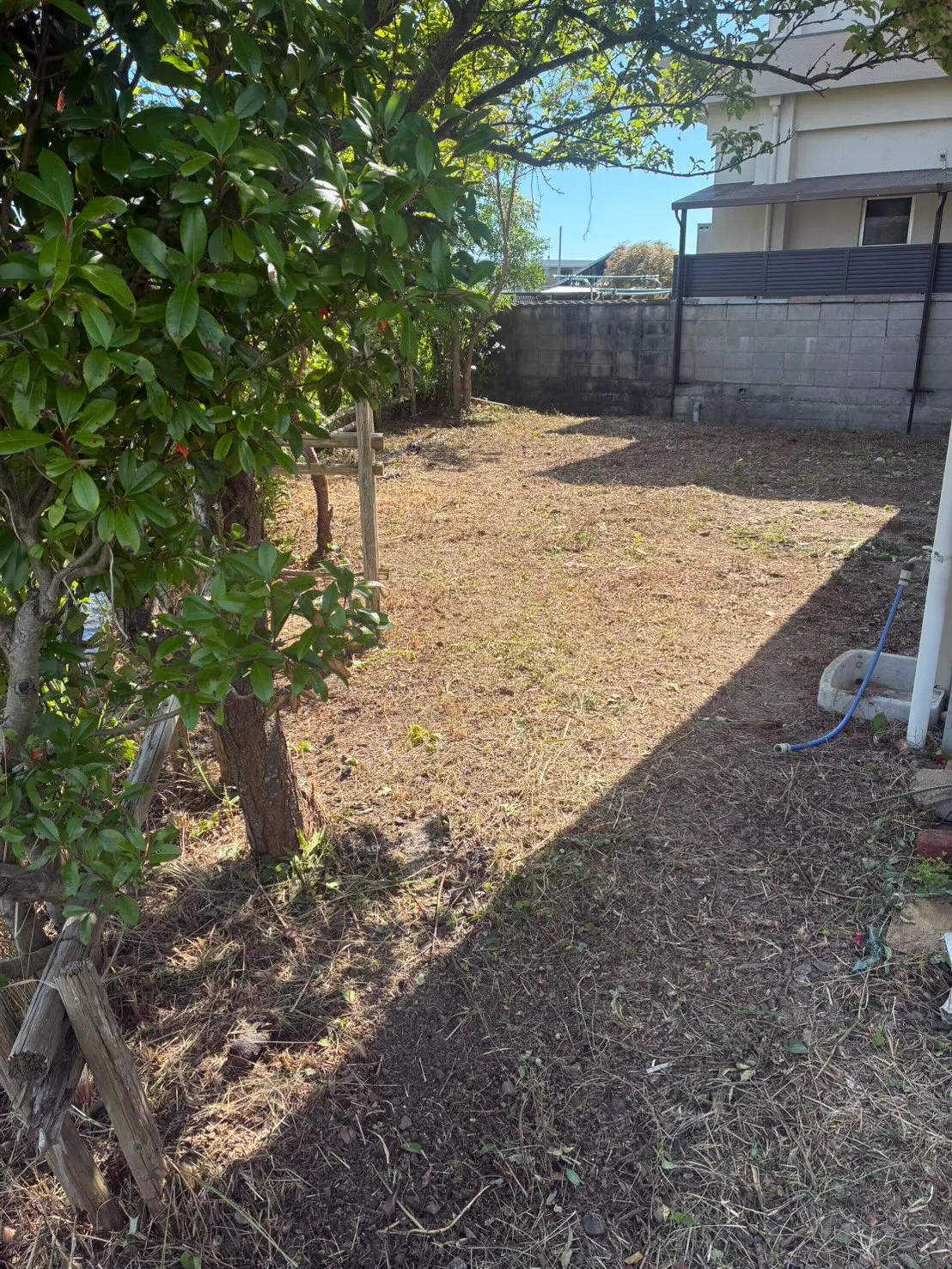 先日は市内のお宅にて、草刈り・草木の処分作業を行いました🌿
